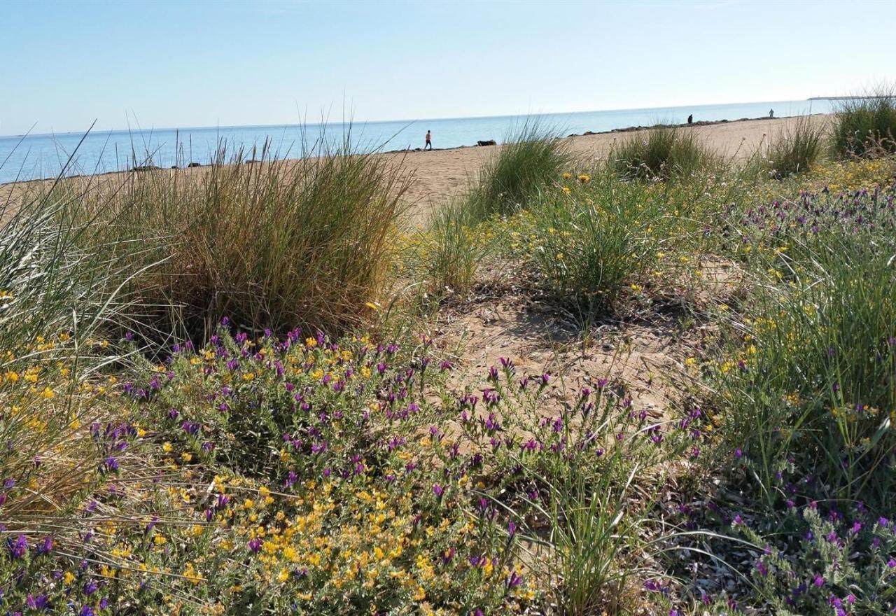 Вилла Jardines De Denia 3 Экстерьер фото